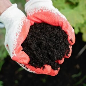 Compost