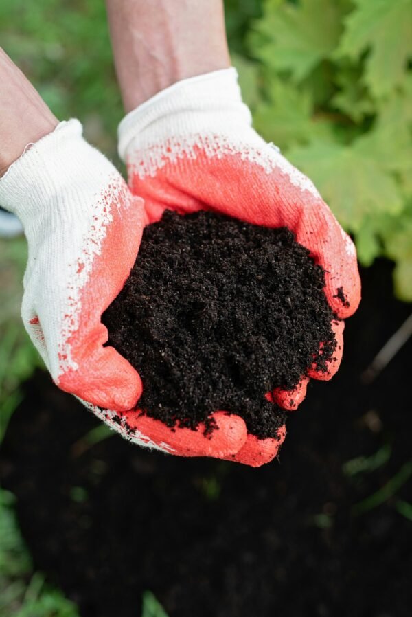 Compost