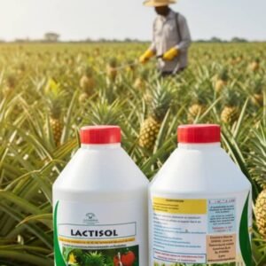 Lactisol